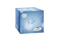 Foxy Pañuelo Cubo Facial Cotton (60)