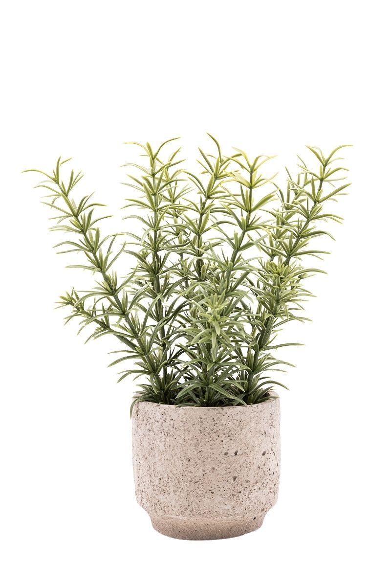 Fragante Tomillo artificial