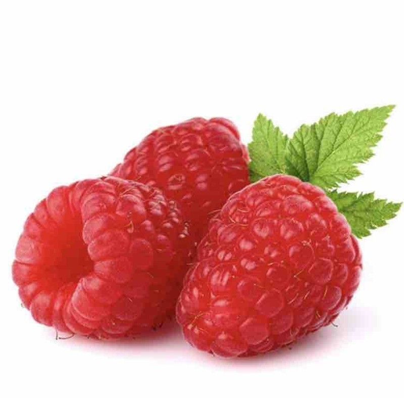 Frambuesa (Rubus idaeus) / Planta de 1 año