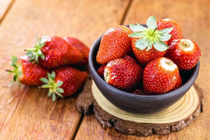 Fresas Albión en maceta, Fragaria vesca