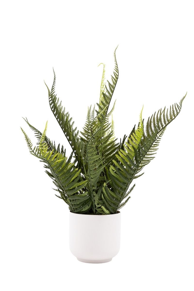 Frondoso Helecho artificial