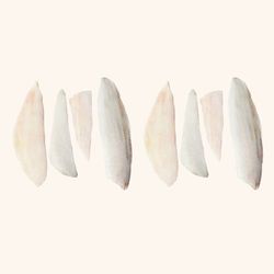 Gallo Fileteado. 8 Filetes. 400gr aprox