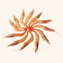 Gamba Blanca de Huelva Calidad Superior. 500GR