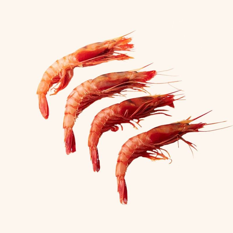 Gamba Roja de Huelva.  500 gr. A1 3 CARABELAS