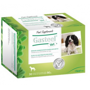 Gasteel Vet 30 Sobres de 3 g