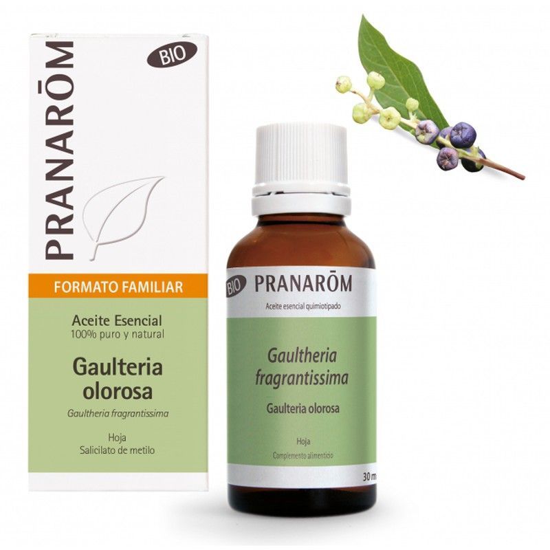 Gaulteria olorosa hoja bio eco 30 ml