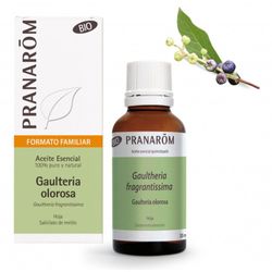 Gaulteria olorosa hoja bio eco 30 ml