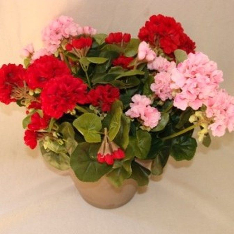 Geranio Zonal Artificial