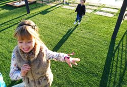 Gespa artificial Discover de Albergrass