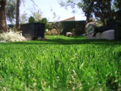 Gespa artificial Orion Plus 35 de Albergrass