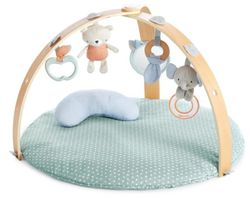 Gimnasio actividades Ingenuity