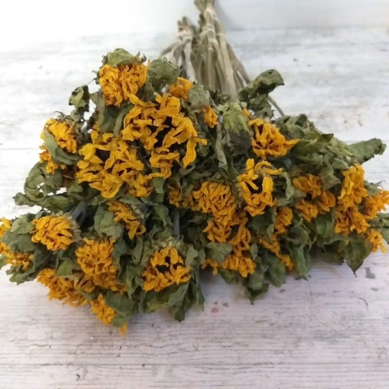 Girasoles secos 10 tallos