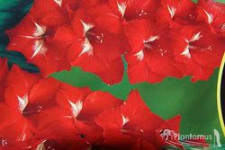 GLADIOLOS ROJOS BOTON BLANCO. ESPADILLA