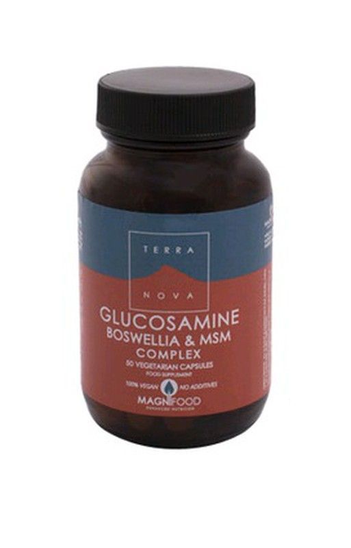 Glucosamina Boswelia Msm Complex 100 Caps