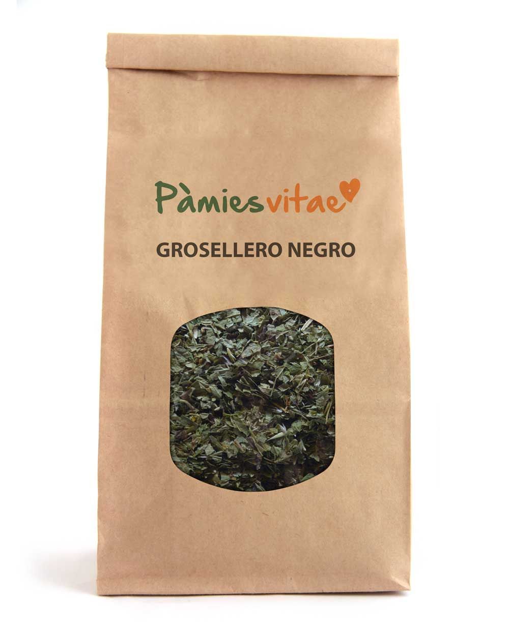GROSELLERO NEGRO - Ribes nigrum Bolsa 500 g