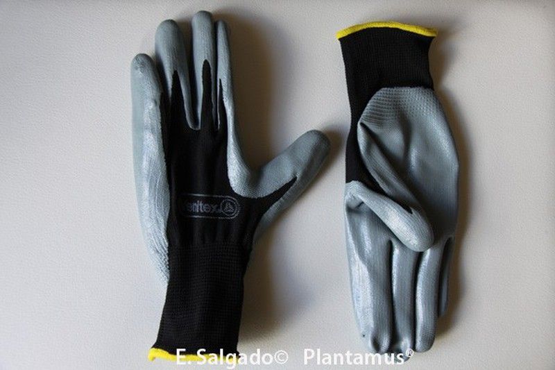 Guante de nitrilo Talla 7 - S, muy comodo y flexible