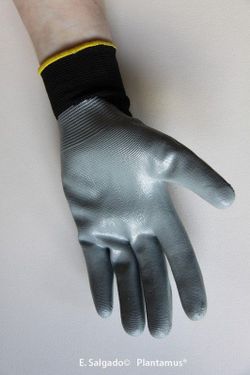 Guante de nitrilo Talla 8 - M   Muy comodo y flexible