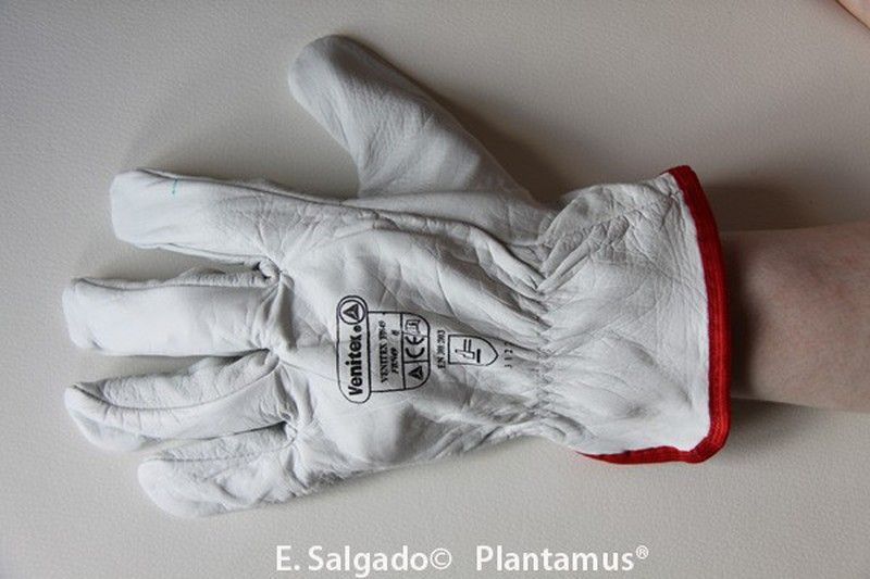 Guante de piel de vacuno Talla 9 - XL