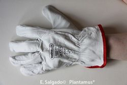 Guante de piel de vacuno Talla 9 - XL