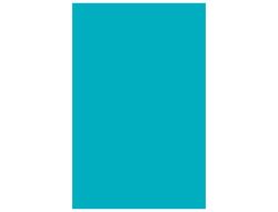 GUARRO CANSON Cartulina 50 Hojas A3 Azul turquesa 185 gr 200040204