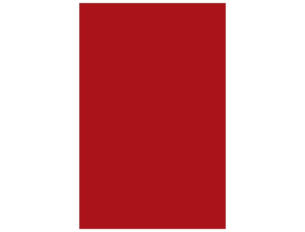 GUARRO CANSON Cartulina 50 Hojas A3 Granate 185 gr 200040195