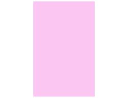 GUARRO CANSON Cartulina 50 Hojas A3 Rosa 185 gr 200040189