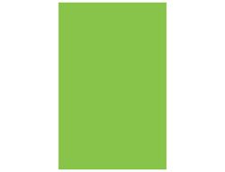 GUARRO CANSON Cartulina 50 Hojas A3 Verde Amazonas 185 gr 200040210