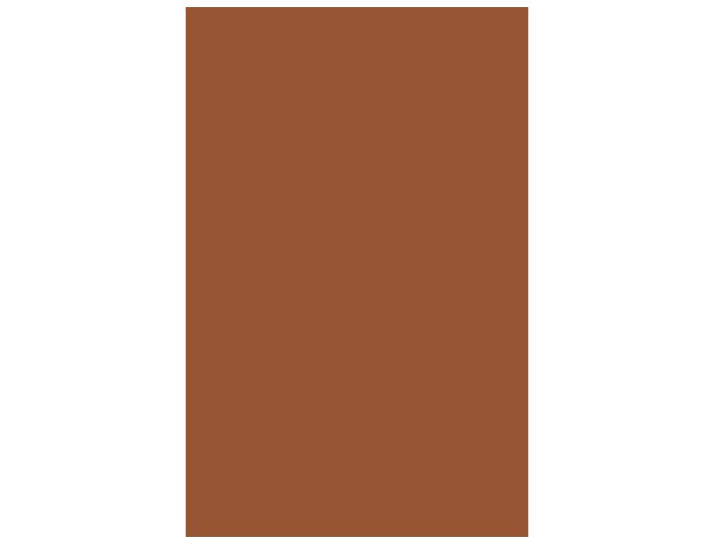 GUARRO CANSON Cartulina IRIS 50 Hojas A3 Cuero 200040211