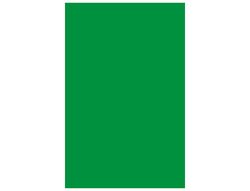 GUARRO CANSON Cartulina IRIS 50 Hojas A3 Verde billar 185 gr. 200040208