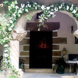 Guirnaldas Naturales (1m lineal)