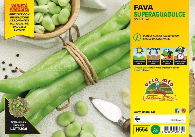 Haba Superaguadulce Aguadulce Supersimonia 12 Plantas en Pack