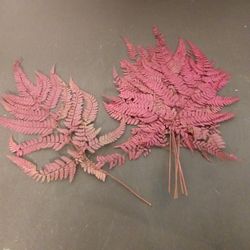 Helecho de Cuero Preservado Rojo