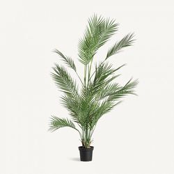 Helecho de plástico y poliéster en verde, 55 x 55 x 145 cm