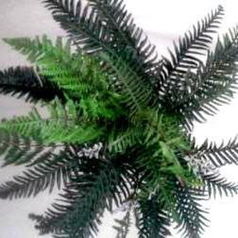 Helecho Grande Artificial (Nephrolepis)