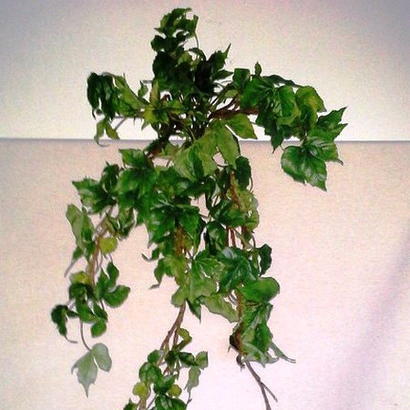 Hiedra Variegata Colgante Artificial