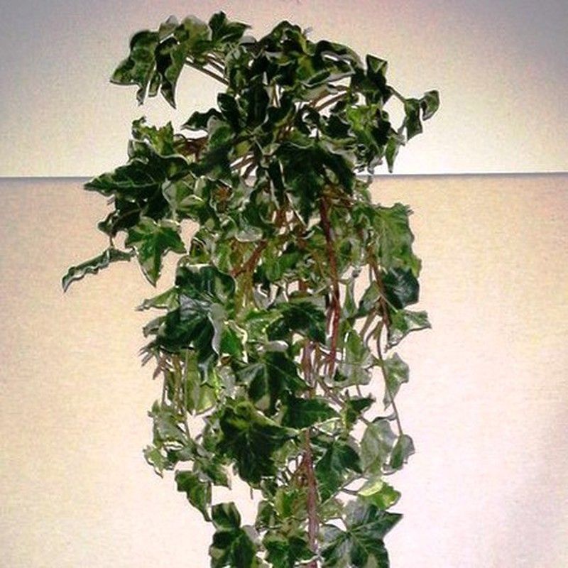 Hiedra Verde Artificial