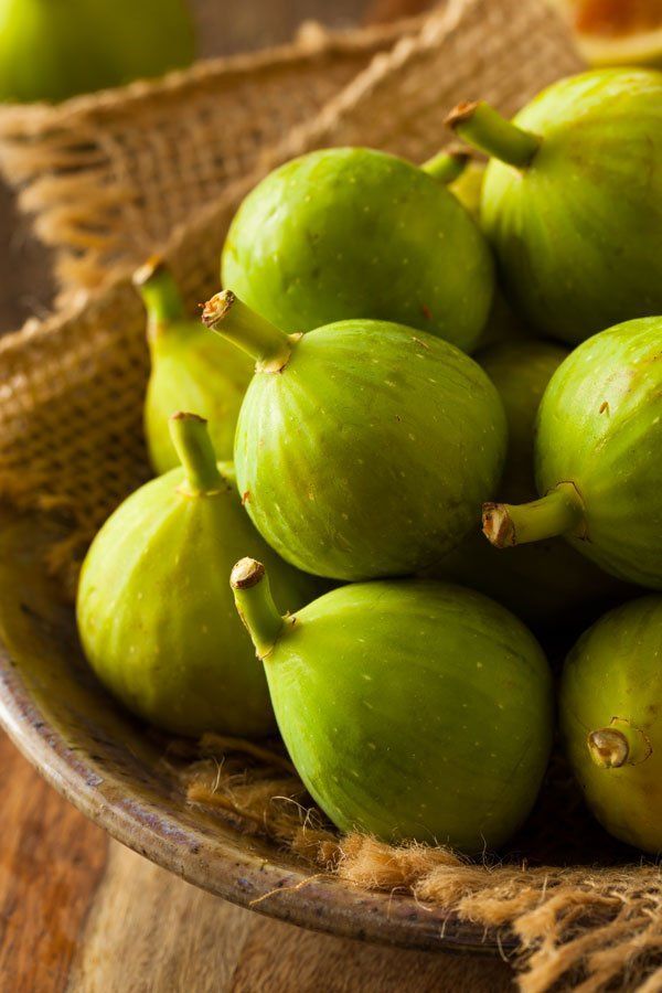 Higuera Dottato  CT.42  ITALIA