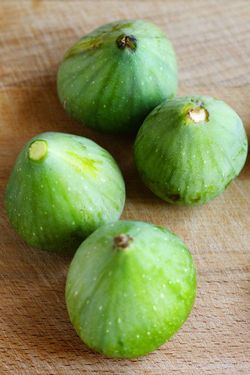 Higuera Verdino CT.42  ITALIA