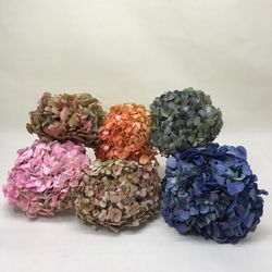 Hortensias Bicolor Preservadas