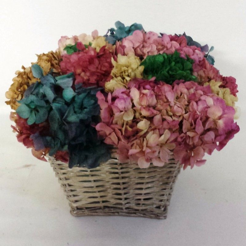Hortensias Preservadas