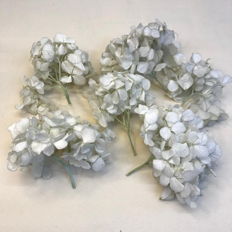 Hortensias Preservadas Ramilletes