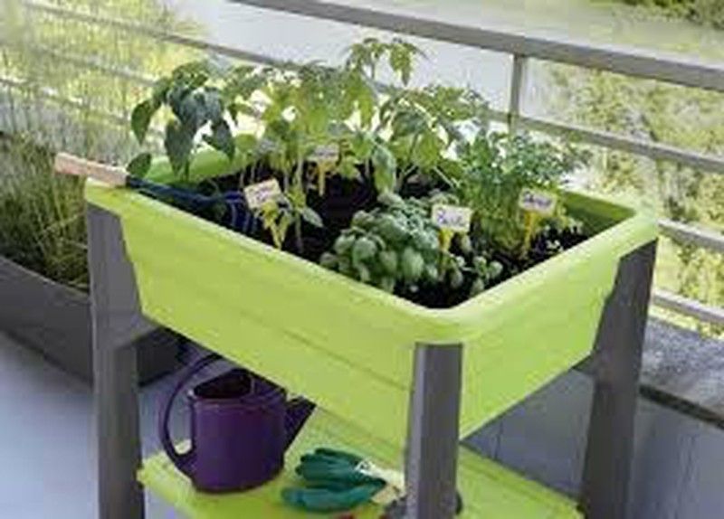 Huerto Urbano Resina