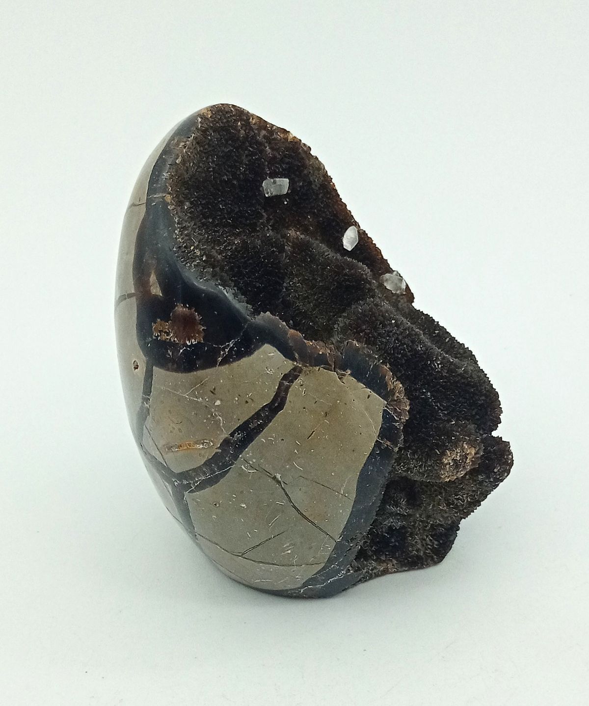 Huevo de Septaria con Calcita