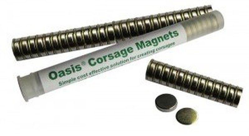 Imanes para prendidos 10 uds.