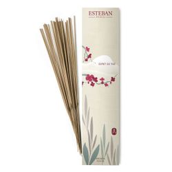 Incienso Espirit The Esteban Paris 20 Sticks