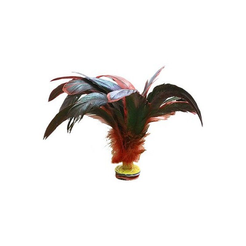 Indiaka con pluma oscura