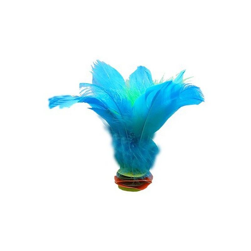 Indiaka con plumas bicolor