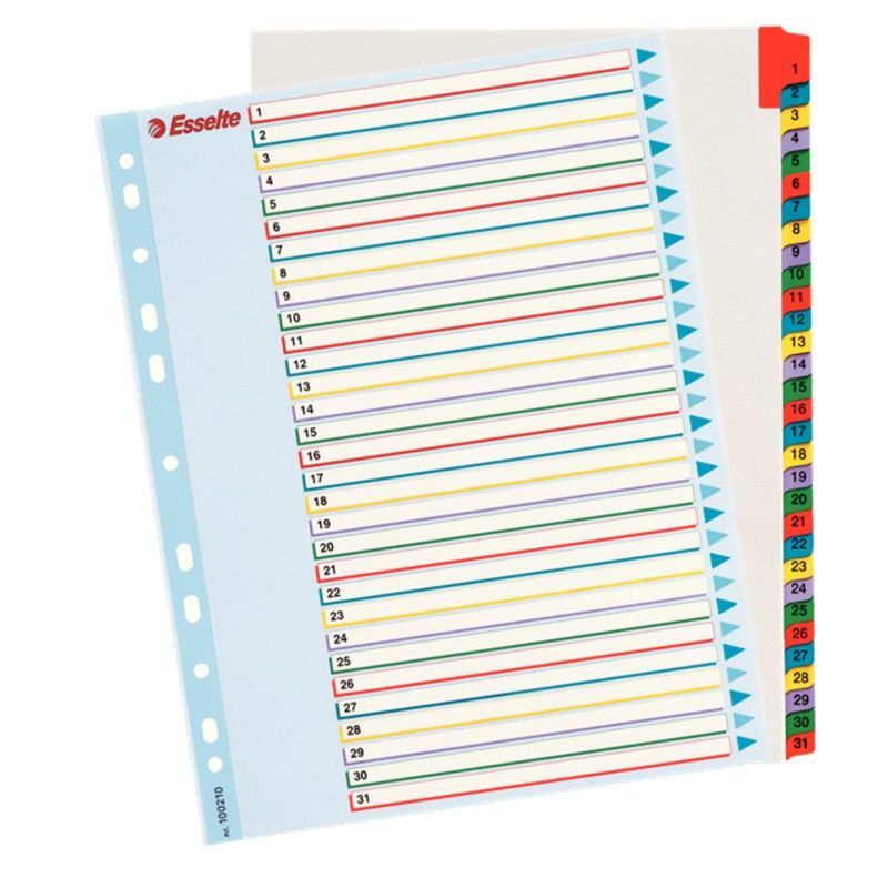 Índice de proyectos multitaladro. DIN A4. Borra y Re-Escribe. Pestañas 1-31, multicolor