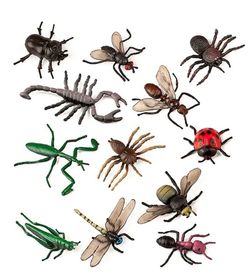 Insectos 12 und.