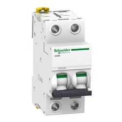 Interruptor automático magnetotérmico iC60N 2P curva-C  Schneider Electric